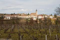 Beaujolais-15