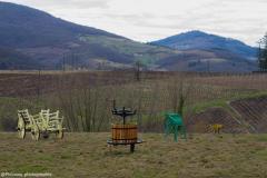 Beaujolais-3